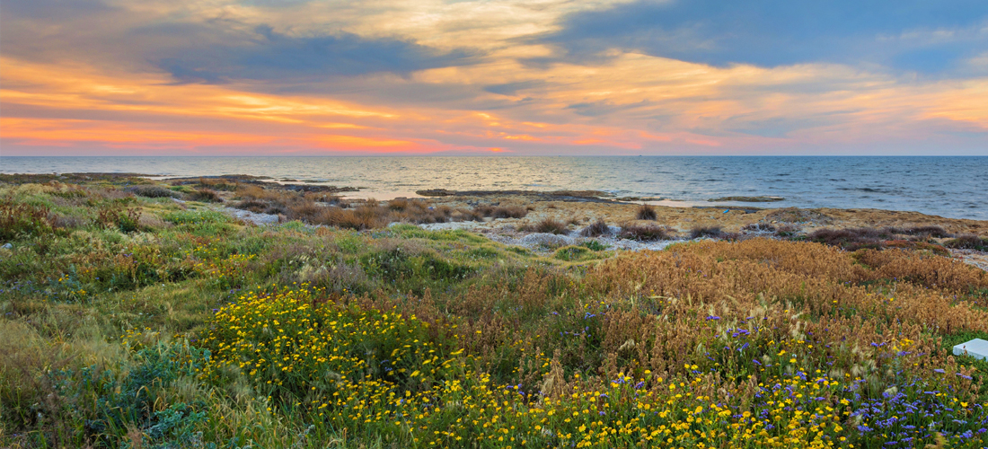 Romansbaai-Beach-Estate-Gansbaai