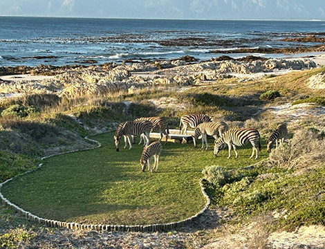 Romansbaai-Beach-Estate-Gansbaai